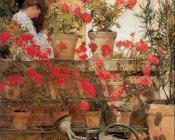 Geraniums - 施尔德·哈森